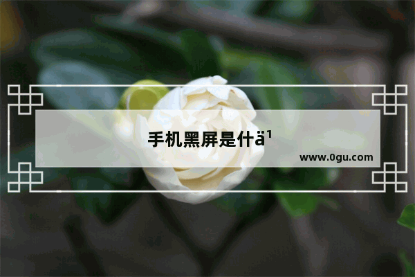 手机黑屏是什么原因