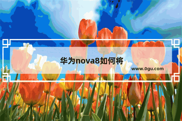 华为nova8如何将号码输入手机卡