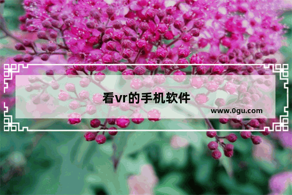 看vr的手机软件