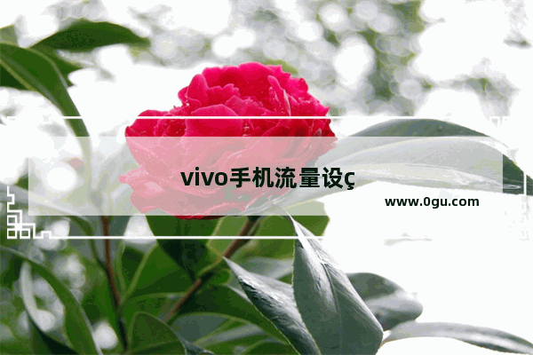 vivo手机流量设置在哪里