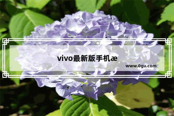 vivo最新版手机是哪款