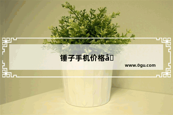 锤子手机价格及图片大全