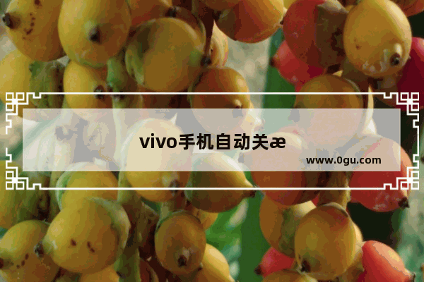 vivo手机自动关机怎么办