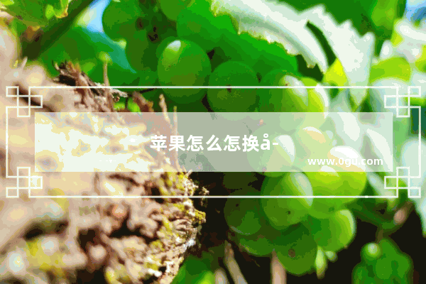 苹果怎么怎换字体