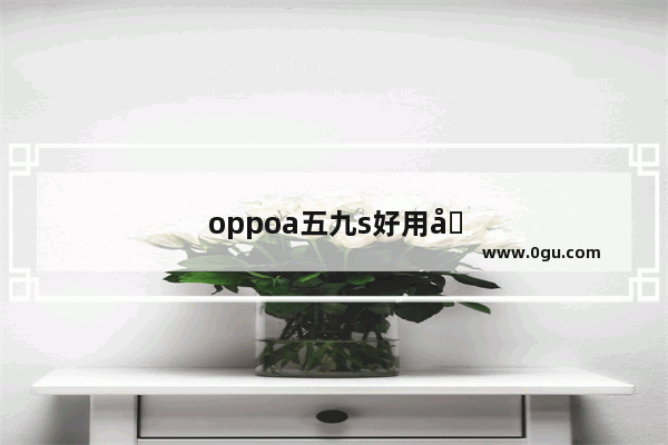 oppoa五九s好用吗