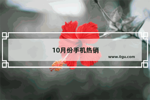 10月份手机热销排行榜