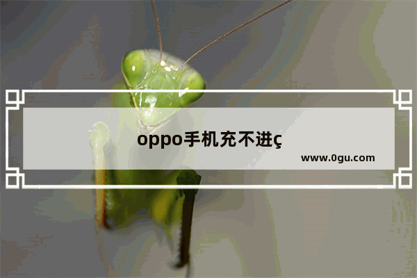 oppo手机充不进电什么原因怎么办