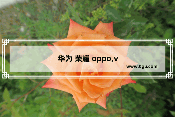 华为 荣耀 oppo,vivo哪个牌子的手机更好