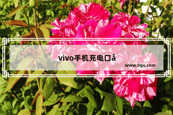 vivo手机充电口坏了换一个多少钱