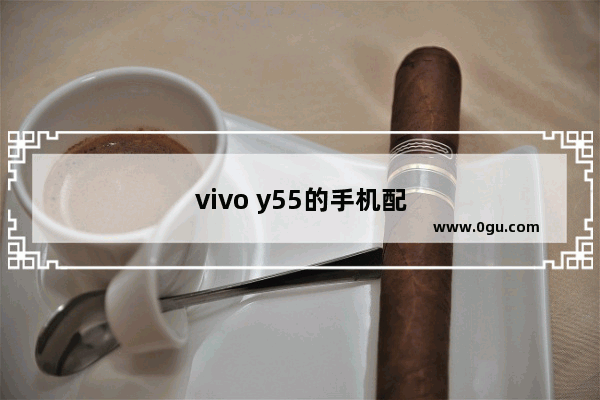 vivo y55的手机配置怎么样