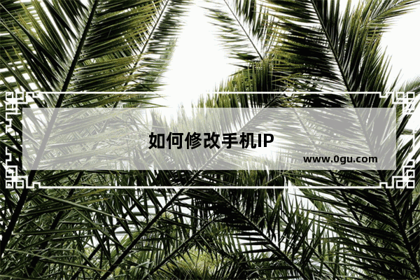 如何修改手机IP地址