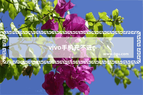 vivo手机充不进电怎么办