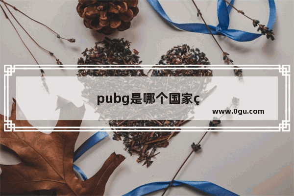 pubg是哪个国家的