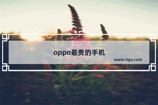 oppo最贵的手机