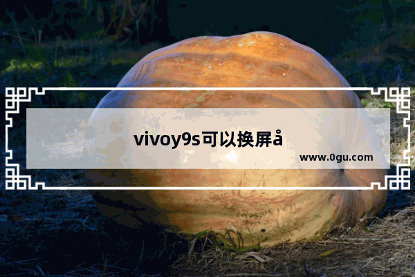 vivoy9s可以换屏幕嘛