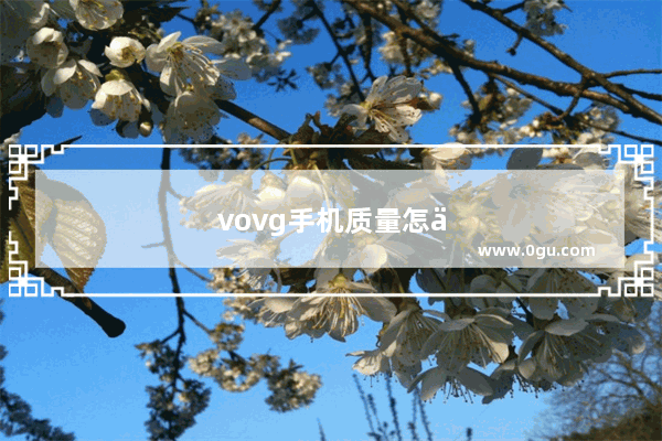 vovg手机质量怎么样