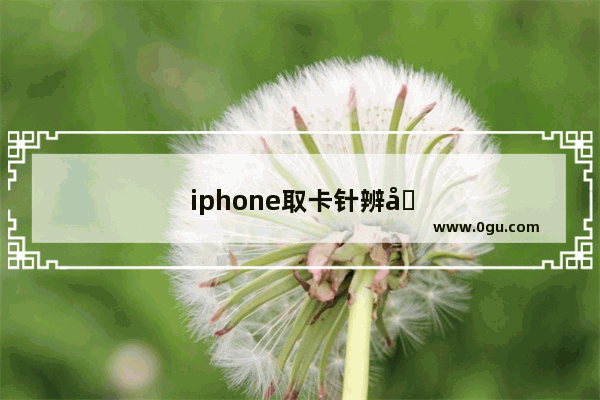 iphone取卡针辨别真假