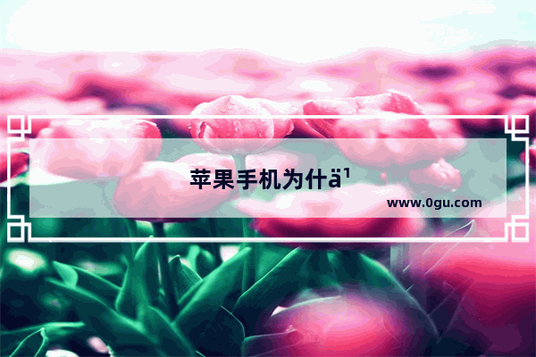 苹果手机为什么充电总是会断电