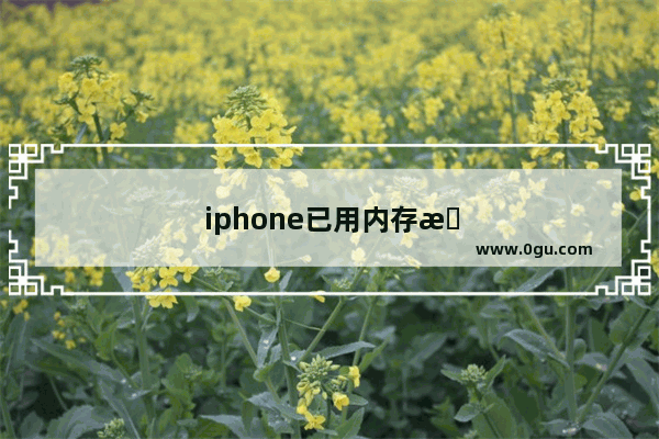 iphone已用内存怎么删除