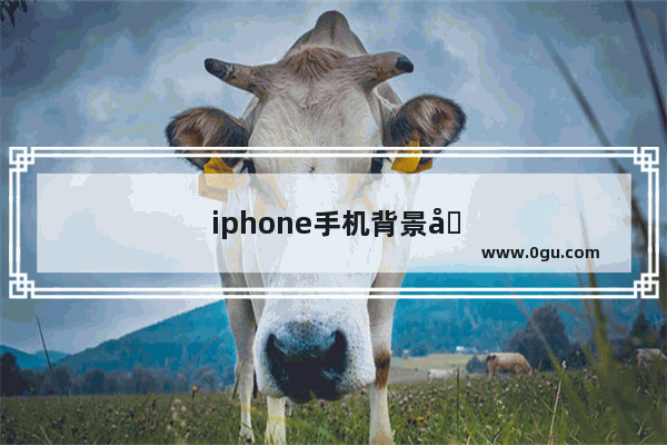 iphone手机背景变成黑色怎么办