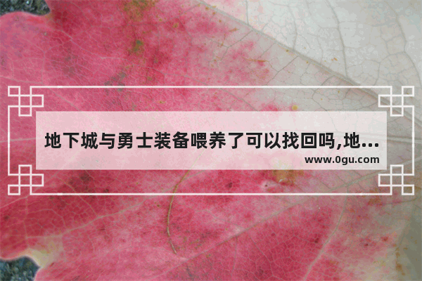 地下城与勇士装备喂养了可以找回吗,地下城与勇士举报中心