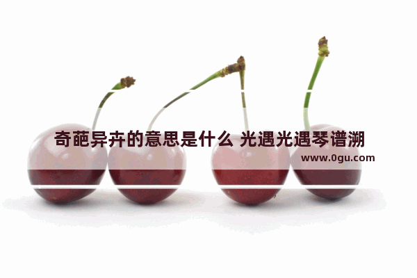 奇葩异卉的意思是什么 光遇光遇琴谱溯