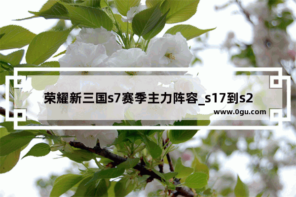 荣耀新三国s7赛季主力阵容_s17到s21赛季王者皮肤是什么