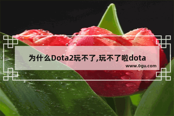 为什么Dota2玩不了,玩不了啦dota2