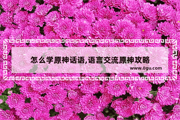 怎么学原神话语,语言交流原神攻略