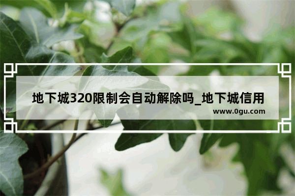 地下城320限制会自动解除吗_地下城信用分低于320怎么解除