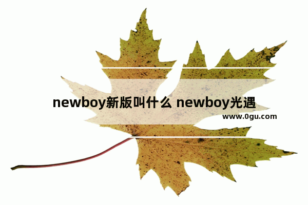 newboy新版叫什么 newboy光遇