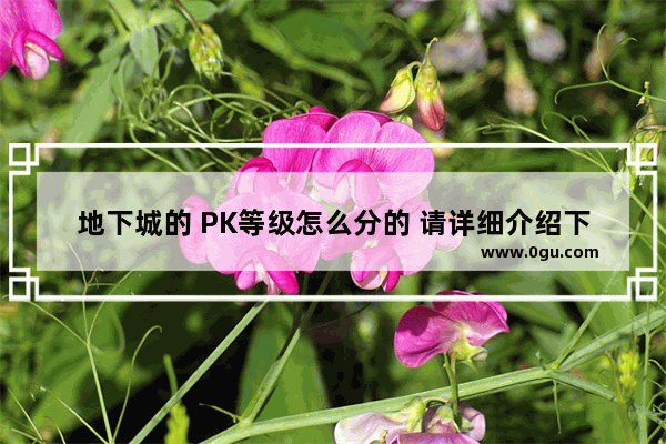 地下城的 PK等级怎么分的 请详细介绍下 谢谢 地下城与勇士等级对比表