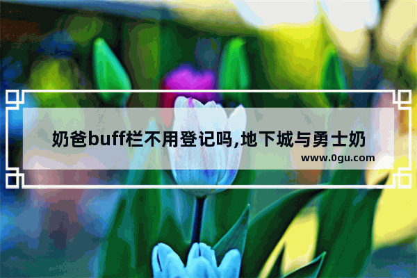 奶爸buff栏不用登记吗,地下城与勇士奶爸寂静