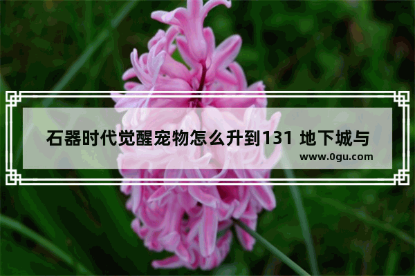 石器时代觉醒宠物怎么升到131 地下城与勇士觉醒宠物攻略