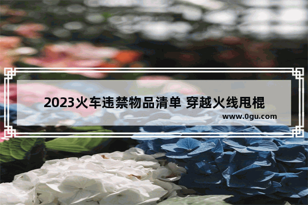 2023火车违禁物品清单 穿越火线甩棍