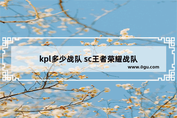 kpl多少战队 sc王者荣耀战队