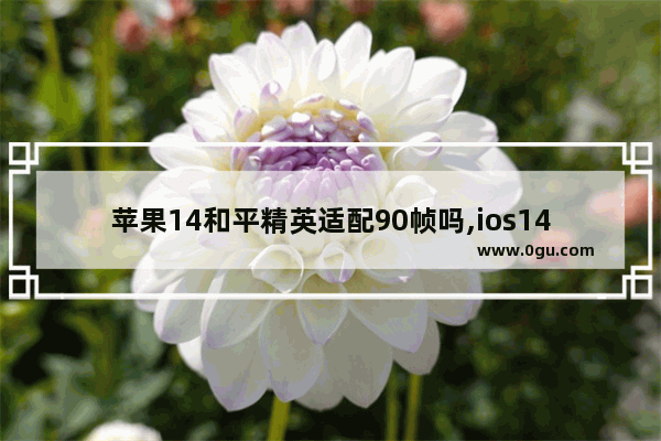 苹果14和平精英适配90帧吗,ios14能玩和平精英