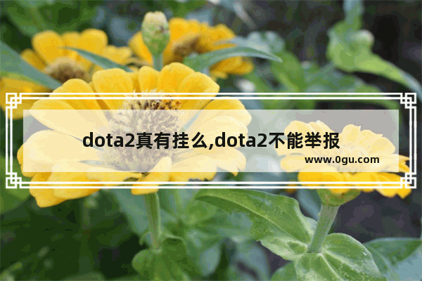 dota2真有挂么,dota2不能举报