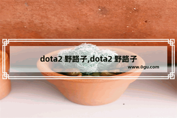 dota2 野路子,dota2 野路子