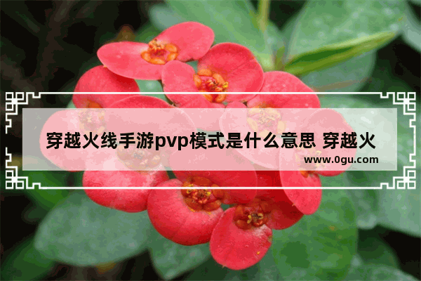 穿越火线手游pvp模式是什么意思 穿越火线狙击战