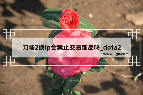 刀塔2换ip会禁止交易饰品吗_dota2不能交易的饰品如何交易