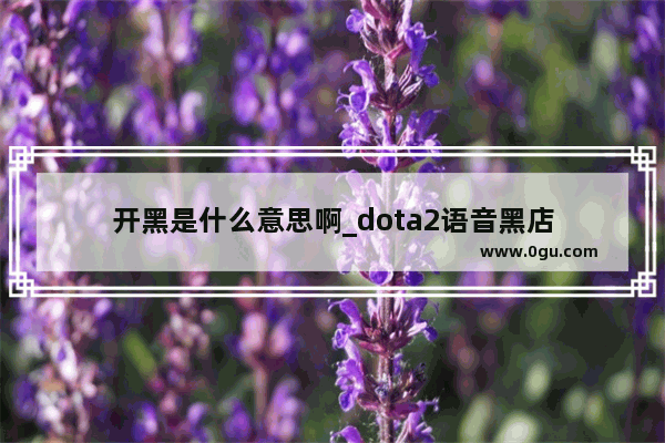 开黑是什么意思啊_dota2语音黑店