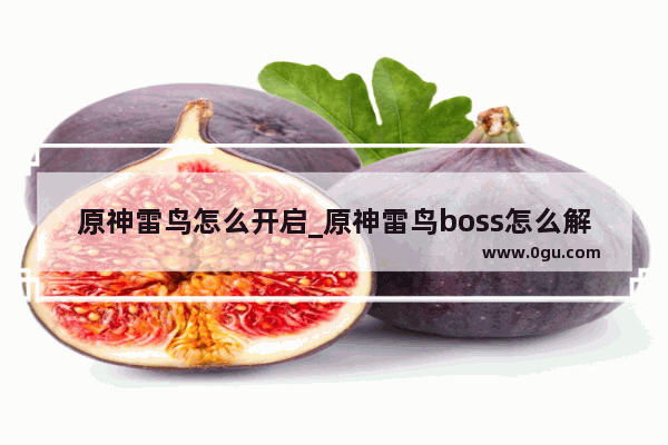 原神雷鸟怎么开启_原神雷鸟boss怎么解锁