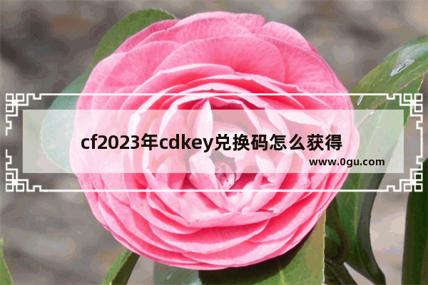 cf2023年cdkey兑换码怎么获得 穿越火线兑换cdkey