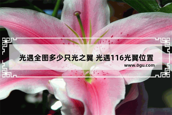 光遇全图多少只光之翼 光遇116光翼位置