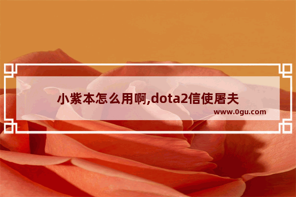 小紫本怎么用啊,dota2信使屠夫