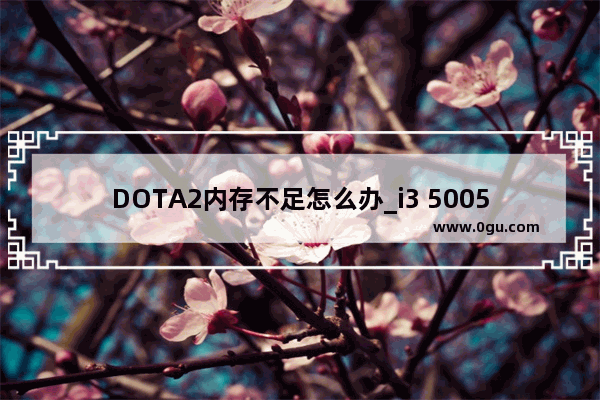 DOTA2内存不足怎么办_i3 5005u 2GHZ内存4G r7 2G显卡能不能流畅玩DOTA2