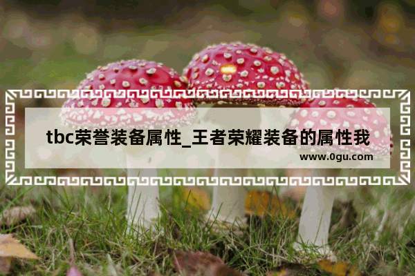 tbc荣誉装备属性_王者荣耀装备的属性我不理解 是什么意思 比如铁剑的属性是+ 20物理攻击 这个+20是什么意思