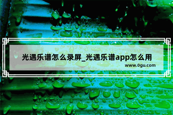 光遇乐谱怎么录屏_光遇乐谱app怎么用