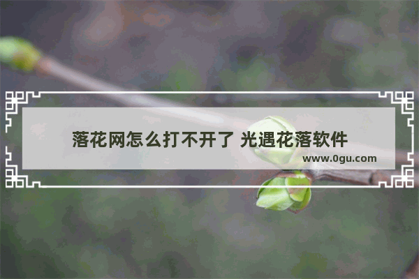 落花网怎么打不开了 光遇花落软件